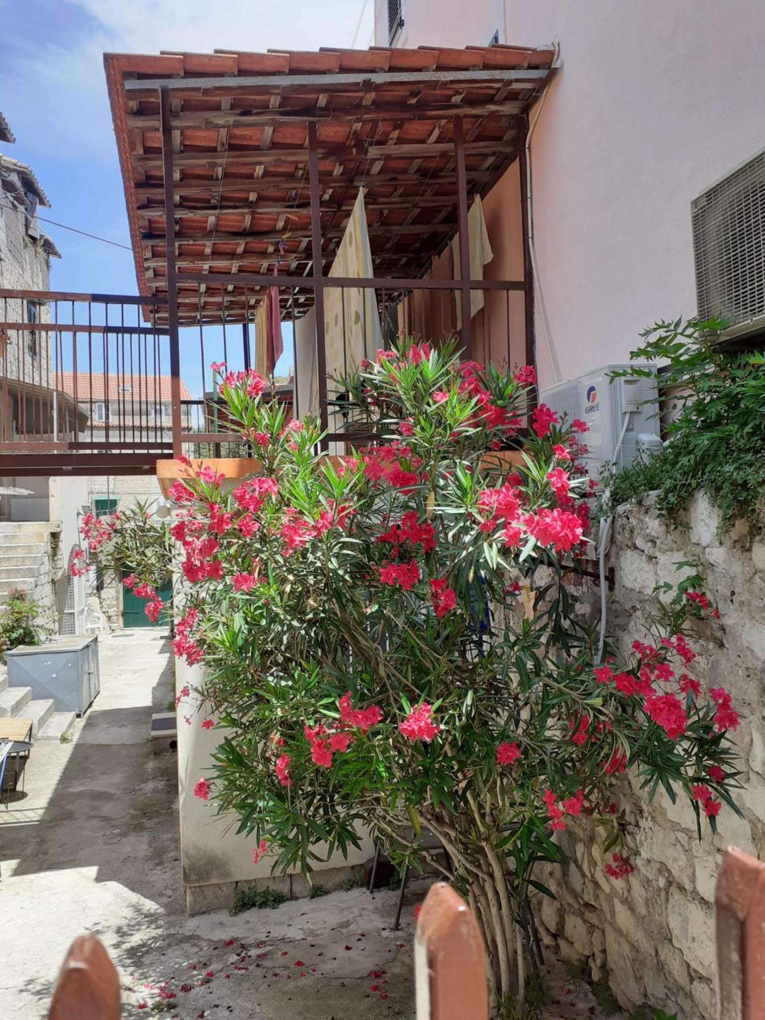 Oleander Apartments ספליט מראה חיצוני תמונה